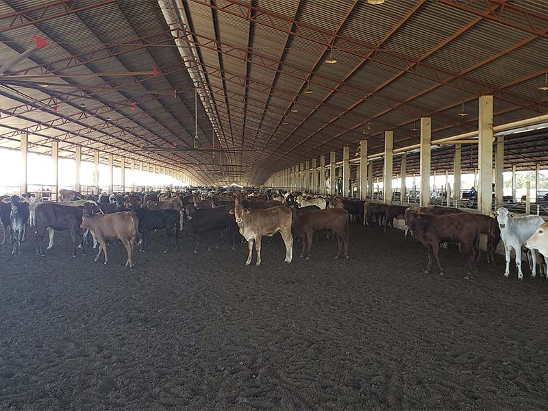 AS Projetos e Pré Moldados